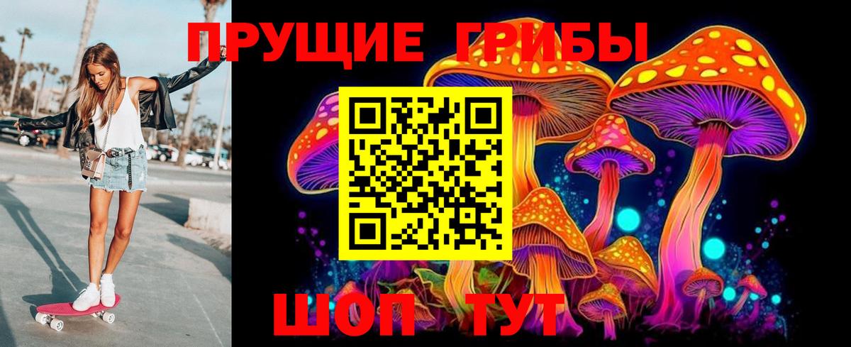 Ковров  Галлюциногенные грибы GOLDEN TEACHER  Вход с VPN  Псилоцибиновые грибы MAGIC MUSHROOMS 